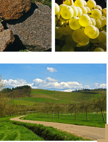 Siegbert Bimmerle - Black Forest Pinot Blanc & Pinot Gris - 0,75L
