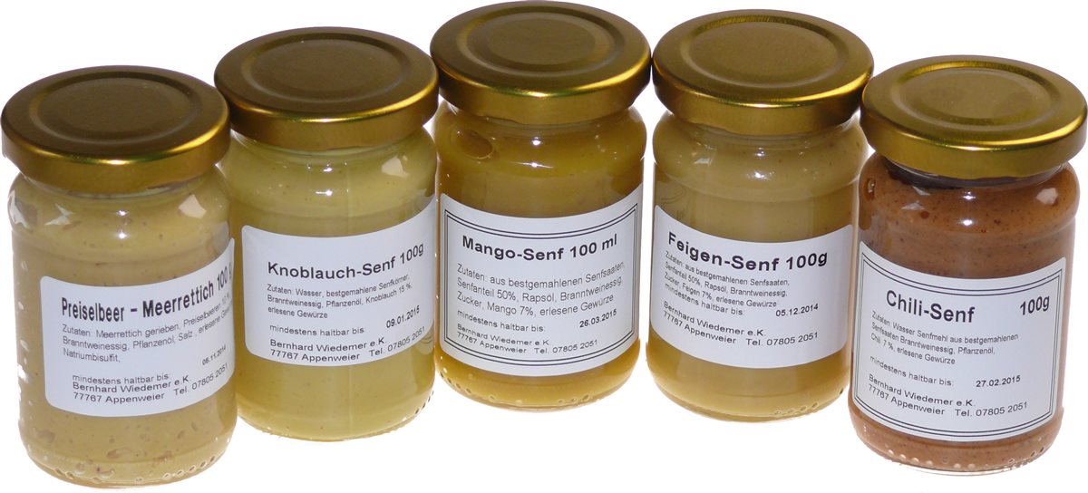 Senf Set Fondue Raclett Soßen 5 x 100 ml
