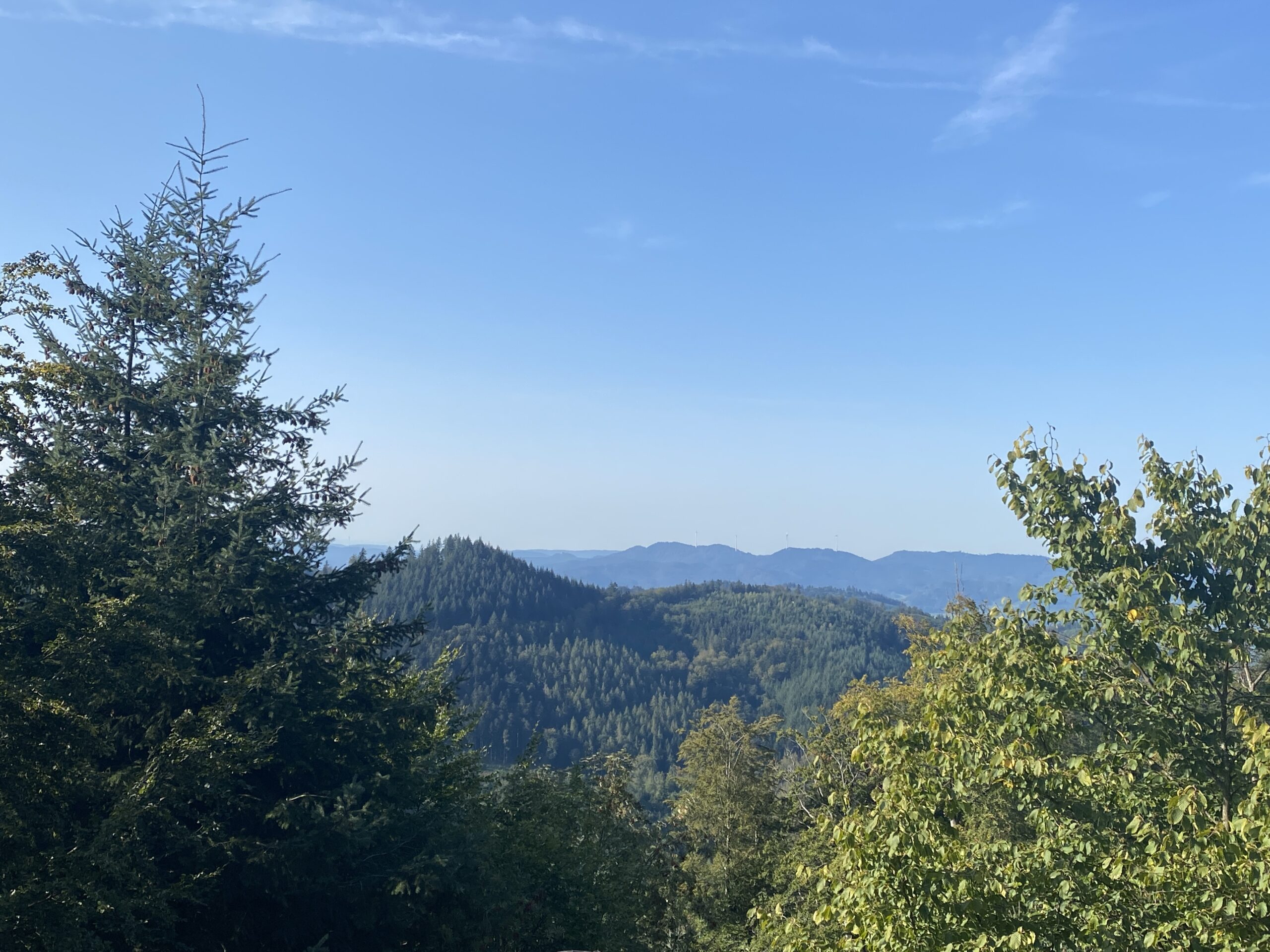 Ausblick Schwarzwald.jpg