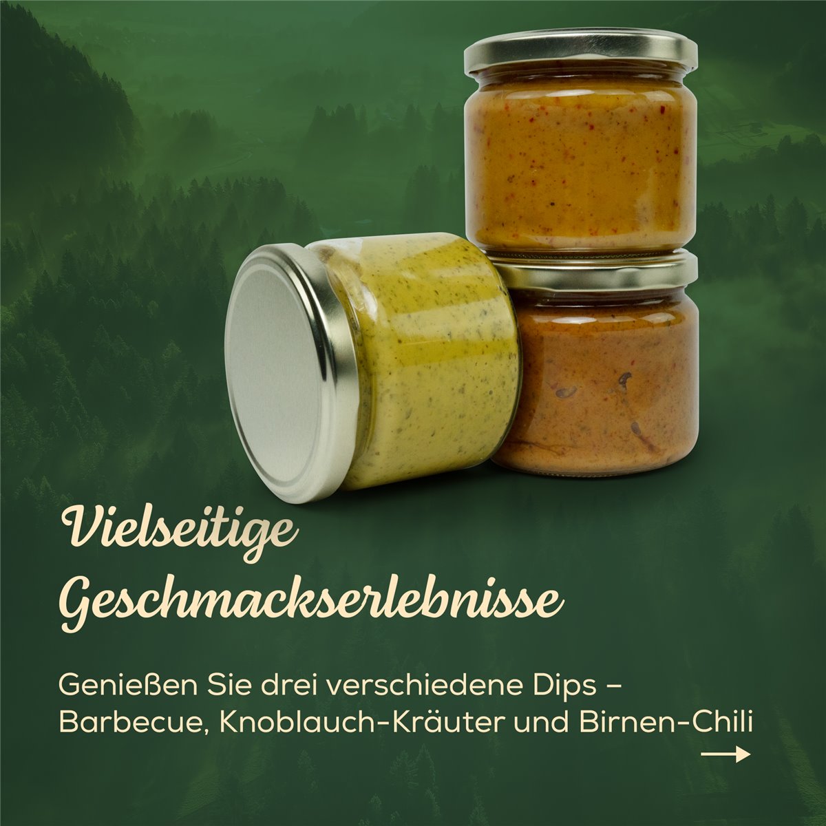 3er-Set Dips à 300g

