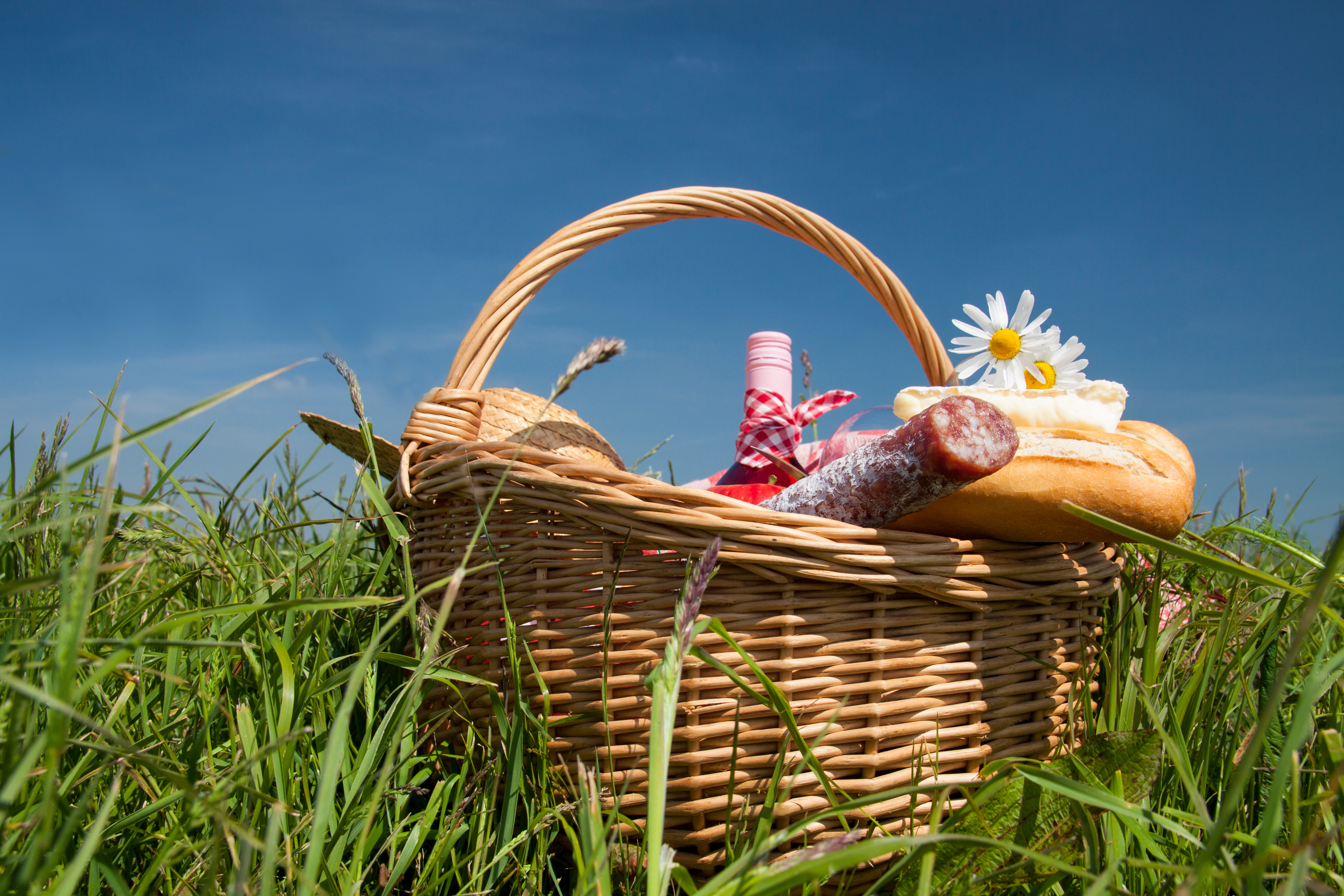 AdobeStock_65464434
