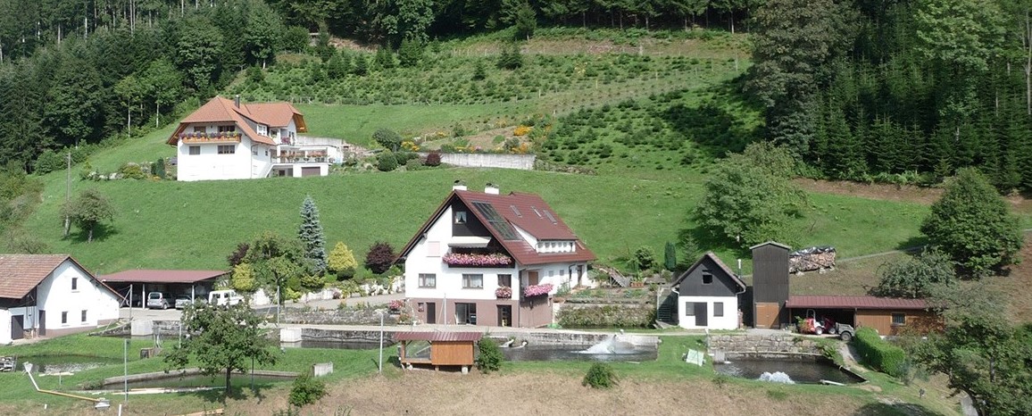 Betrieb - schnitt Betrieb - schnitt